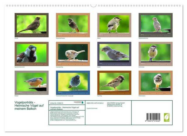 CALVENDO Wandkalender Vogelporträts - Heimische Vögel auf meinem Balkon (Premium, hochwertiger DIN A2 Wandkalender 2023, Kunstdruck in Hochglanz)