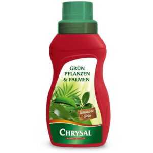 Chrysal - Flüssigdünger für Grünpflanzen und Palmen - 250 ml