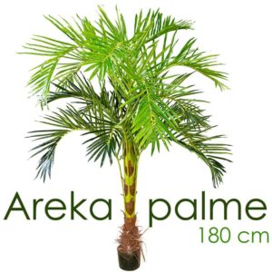 Decovego - Künstliche Palme groß Kunstpalme Kunstpflanze Palme künstlich wie echt Plastikpflanze Arekapalme 180 cm hoch Balkon Deko Dekoration