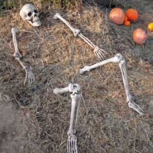 Halloween Skelett für den Garten Halloween Deko Garten