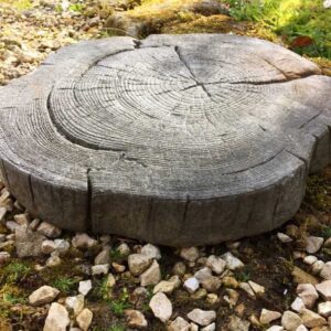 Holzscheiben - Trittplatte wie Holz Relief Betonstein Platten Rasen Beet Tritte