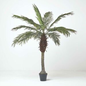 Homescapes - Künstliche Phoenix-Palme im Topf, 160 cm - Grün