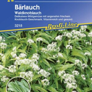 Kiepenkerl Bärlauch Waldknoblauch Allium ursinum, Inhalt: ca. 35 Pflanzen