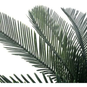 Maison Exclusive - Künstliche Pflanze Cycas-Palme mit Topf Grün 125 cm - Grün