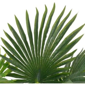 Maison Exclusive - Künstliche Pflanze Palme mit Topf Grün 70 cm - Grün