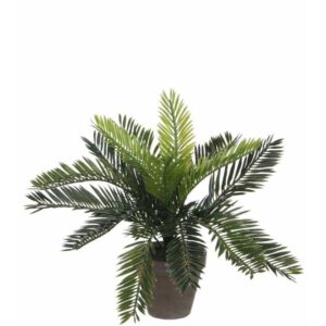 Mica Decorations - Mica Cycas Palme grün im Topf 33 x 34 cm Kunstpflanzen