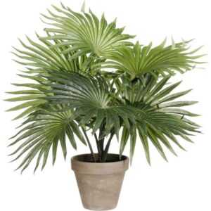 Mica Decorations - Mica Kunstpflanze Palme grün im Topf 40 cm Eingetopft