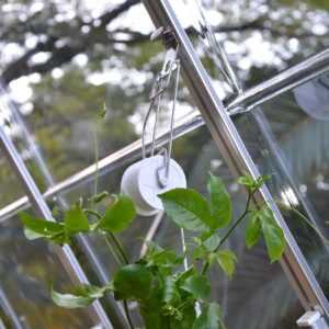 Palram - Canopia Rankhilfe Set für Gewächshaus Pflanzen