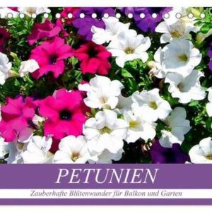Petunien. Zauberhafte Blütenwunder für Balkon und Garten (Tischkalender 2024 DIN A5 quer), CALVENDO Monatskalender
