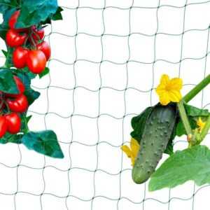 Relaxdays - Ranknetz für Gewächshaus, 180 x 360 cm, Rankhilfe Gurken, Tomaten, Maschenweite 10 cm, Gewächshausnetz, grün