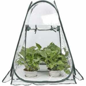 Rhafayre - Mini Pop Up Gewächshaus - Kleines Überwinterungszelt für Pflanzen - Blumentopf - Mini Gewächshaus - Winterschutz für Pflanzen (70 x 70 x