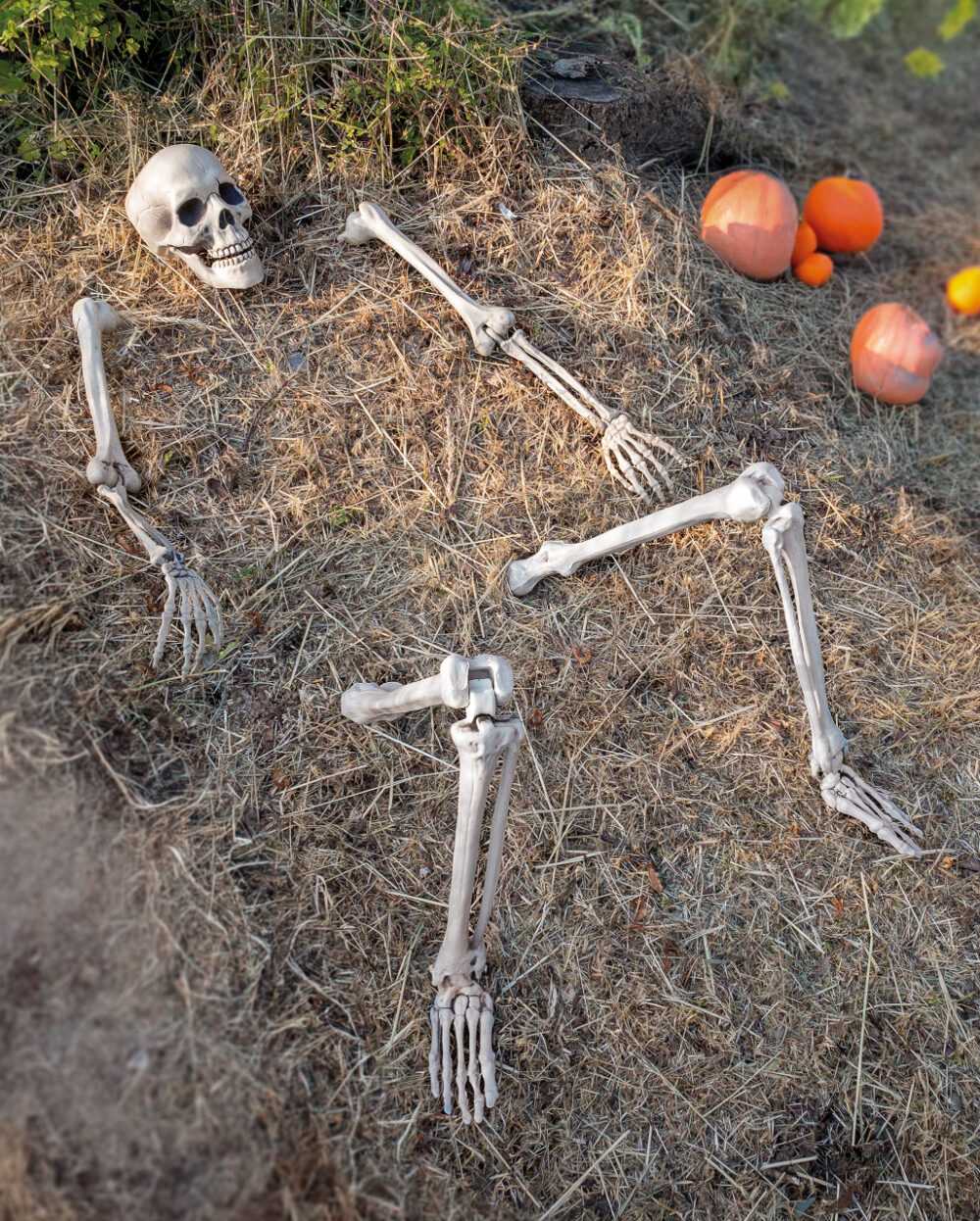 Skelett-Dekoration für den Garten Halloween Gartendeko