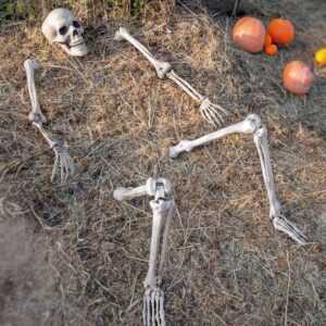 Skelett-Dekoration für den Garten Halloween Gartendeko