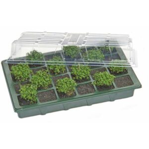Spetebo - Mini Gewächshaus - für die Anzucht von Samen und Keimlingen