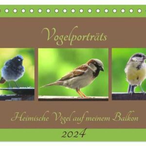 Vogelporträts - Heimische Vögel auf meinem Balkon (Tischkalender 2024 DIN A5 quer), CALVENDO Monatskalender