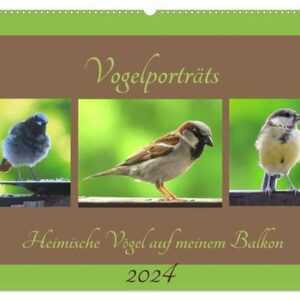 Vogelporträts - Heimische Vögel auf meinem Balkon (Wandkalender 2024 DIN A2 quer), CALVENDO Monatskalender