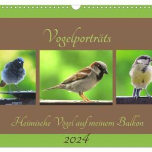Vogelporträts - Heimische Vögel auf meinem Balkon (Wandkalender 2024 DIN A3 quer), CALVENDO Monatskalender