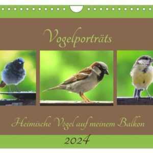 Vogelporträts - Heimische Vögel auf meinem Balkon (Wandkalender 2024 DIN A4 quer), CALVENDO Monatskalender