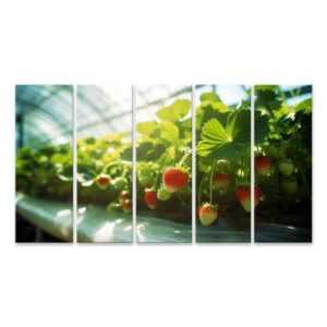 islandburner Leinwandbild Bio-Landwirtschaftskonzept: Frische Erdbeerreihen aus Gewächshäusern K
