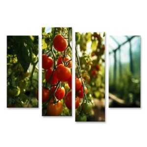 islandburner Leinwandbild Konzept Bio-Bauernhof: Reife rote Tomatencluster im Gewächshaus Küche