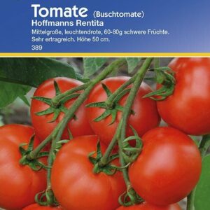 Busch-Tomate Hoffmanns Rentita