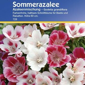 Sommerazalee Azaleen-Mischung | farbenfrohe mischung für Beete und Rabatte | für Schnit geeignet
