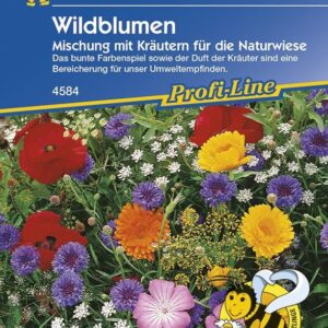 Wildblumen mit Kräutern für die Naturwiese Mischung ein- und mehrjährig