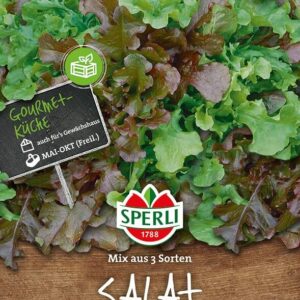 Salat Pflücksalat (Bableaf) Mix aus 3 Sorten