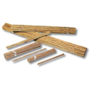 Tonkinstäbe Bambus natur